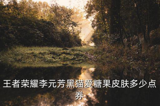 王者荣耀李元芳黑猫爱糖果皮肤多少点券