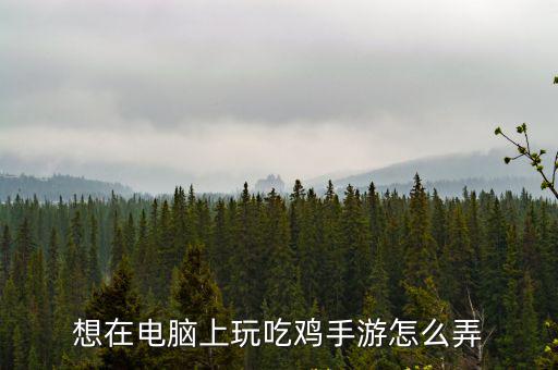 想在电脑上玩吃鸡手游怎么弄