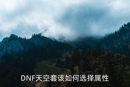 DNF天空套该如何选择属性