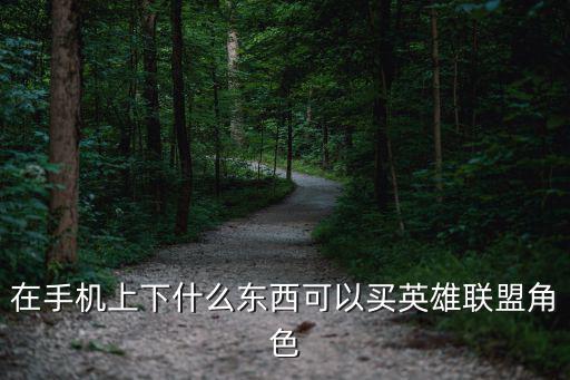 在手机上下什么东西可以买英雄联盟角色