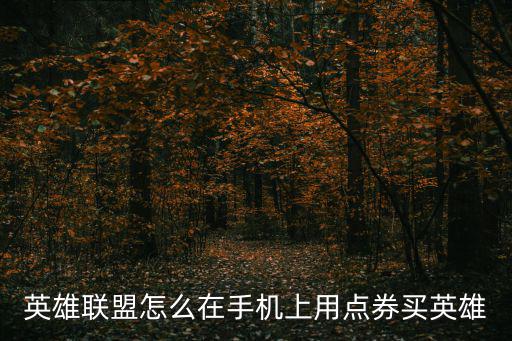 英雄联盟怎么在手机上用点券买英雄