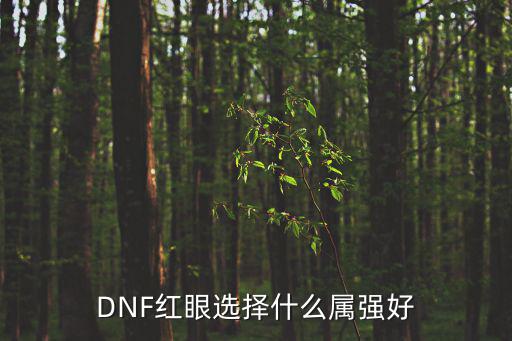 DNF红眼选择什么属强好