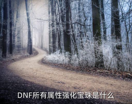 dnf林肯宝珠是什么属性，DNF399礼包里的宝珠什么属性