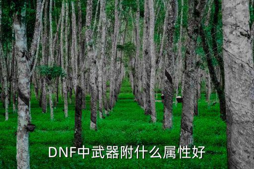 dnf刀影玩什么属性，dnf影武者玩什么属性