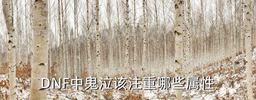 DNF中鬼泣该注重哪些属性