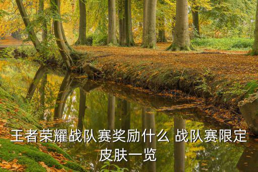 王者荣耀战队赛奖励什么 战队赛限定皮肤一览