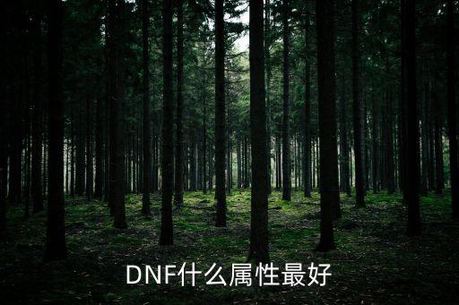 DNF什么属性最好