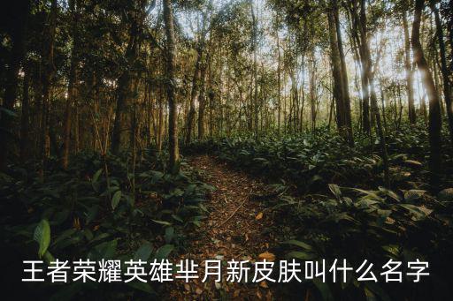 王者荣耀英雄芈月新皮肤叫什么名字