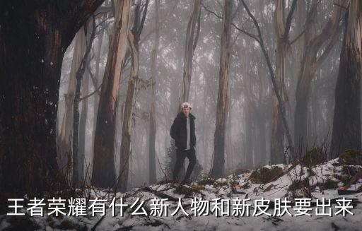王者荣耀有什么新人物和新皮肤要出来