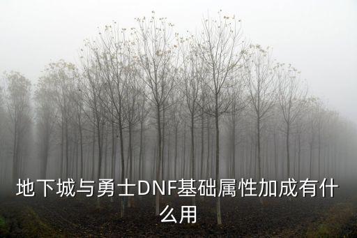 地下城与勇士DNF基础属性加成有什么用