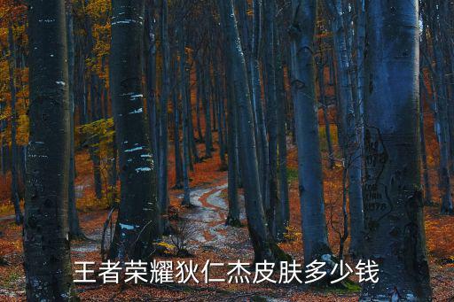 王者荣耀狄仁杰皮肤多少钱