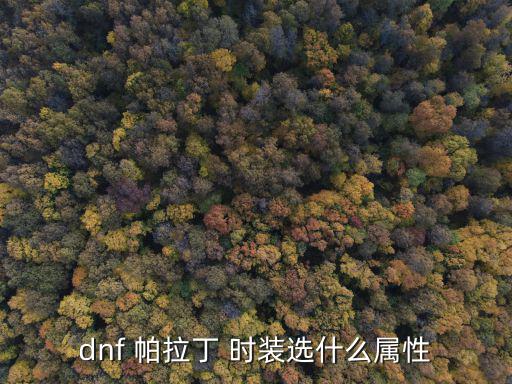 dnf 帕拉丁 时装选什么属性