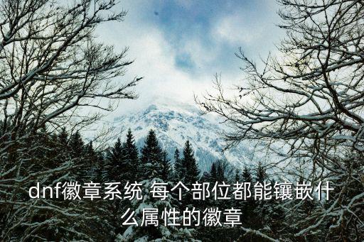 dnf徽章系统 每个部位都能镶嵌什么属性的徽章
