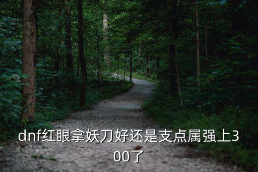 dnf红眼拿妖刀好还是支点属强上300了