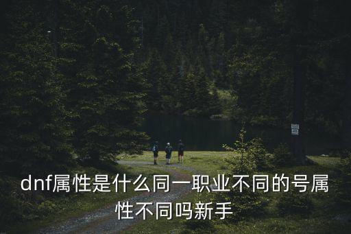 dnf属性稀释什么意思，dnf个人属性