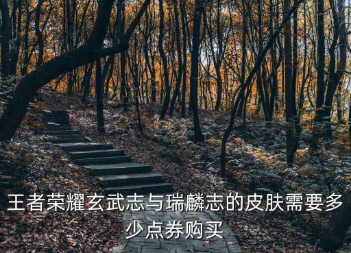王者荣耀瑞文新皮肤多少钱，王者荣耀瑞麟志的皮肤限时购买需要多少点券