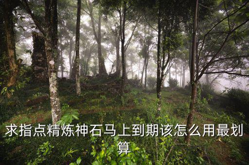 求指点精炼神石马上到期该怎么用最划算