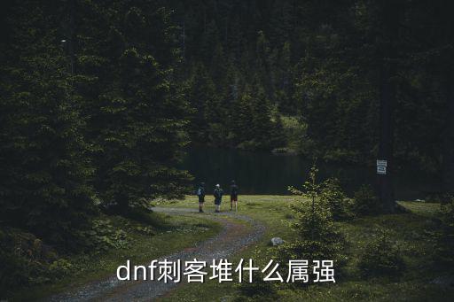 dnf刺客堆什么属强