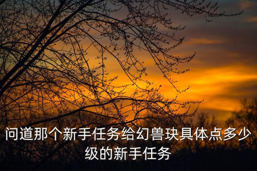 问道那个新手任务给幻兽玦具体点多少级的新手任务