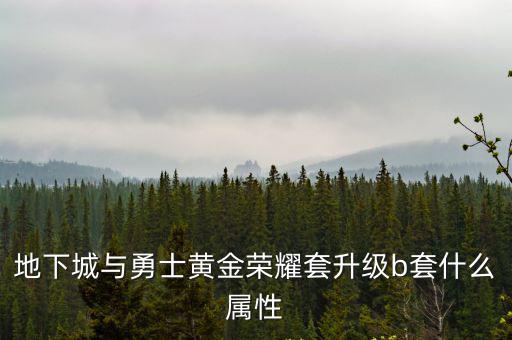 地下城与勇士黄金荣耀套升级b套什么属性
