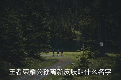 王者荣耀新古风皮肤有哪些，李白出的新皮肤有哪些