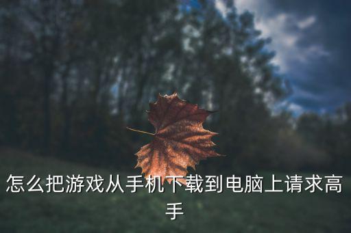 怎么把游戏从手机下载到电脑上请求高手