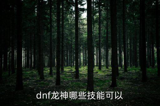 dnf龙神属性加什么技能，龙神属性和技能怎么加