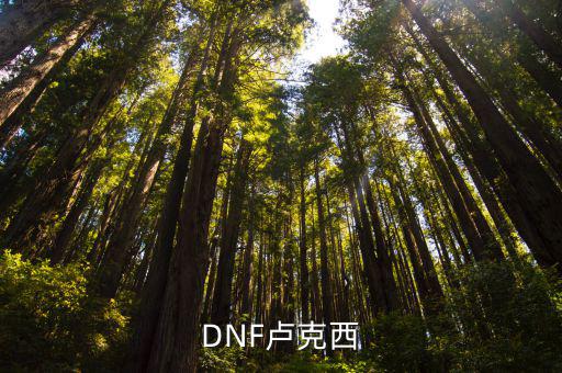 dnf卢克西什么属性，DNF西北区的30粉短剑卢克西的紫炎波刃剑300W买得过吗 刚看