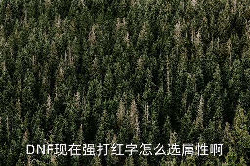 DNF现在强打红字怎么选属性啊
