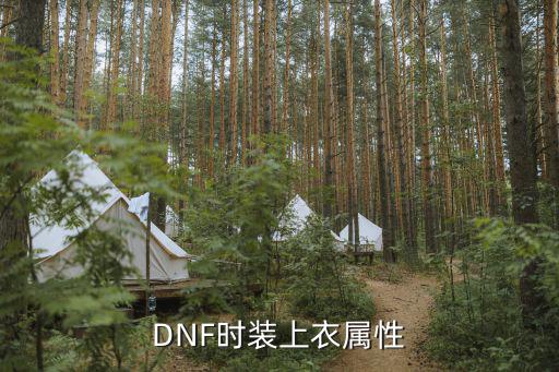 dnf女装上衣什么属性，DNF时装上衣属性