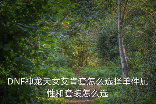 DNF神龙天女艾肯套怎么选择单件属性和套装怎么选