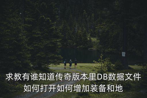 求教有谁知道传奇版本里DB数据文件如何打开如何增加装备和地
