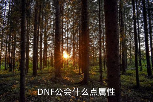 dnf公会勋章选什么属性，DNF公会什么点属性