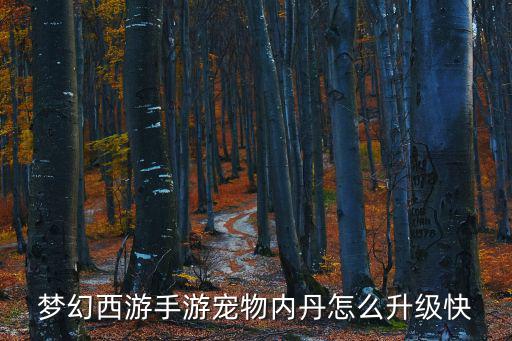 梦幻西游手游宠物内丹怎么升级快