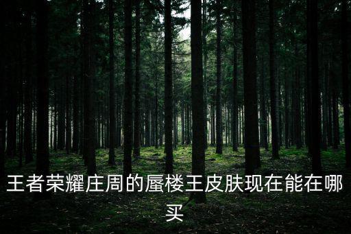 王者荣耀庄周的蜃楼王皮肤现在能在哪买