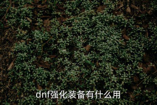 dnf强化装备有什么用