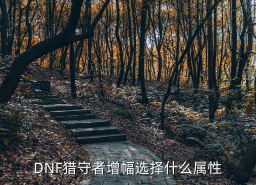 dnf增幅的属性都有什么，DNF猎守者增幅选择什么属性