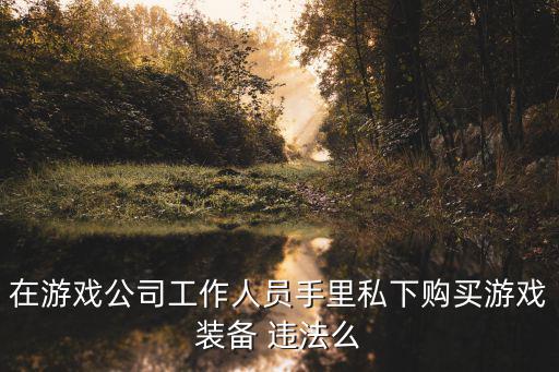 在游戏公司工作人员手里私下购买游戏装备 违法么