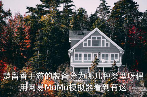 楚留香手游的装备分为哪几种类型呀偶用网易MuMu模拟器看到有这