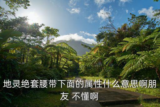 地灵绝套腰带下面的属性什么意思啊朋友 不懂啊