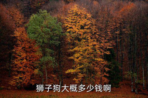 狮子狗大概多少钱啊