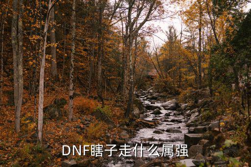 DNF瞎子走什么属强