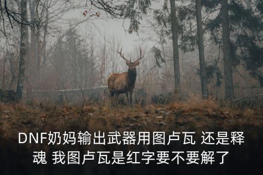 DNF奶妈输出武器用图卢瓦 还是释魂 我图卢瓦是红字要不要解了