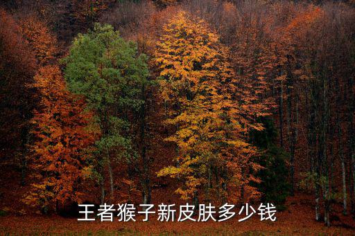 王者猴子新皮肤多少钱