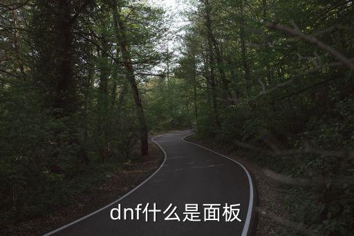 dnf什么是面板