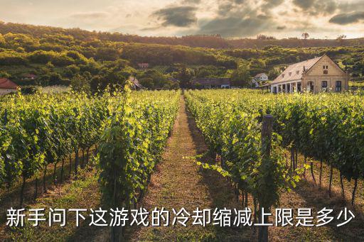 新手问下这游戏的冷却缩减上限是多少