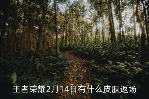 王者荣耀2月14日有什么皮肤返场