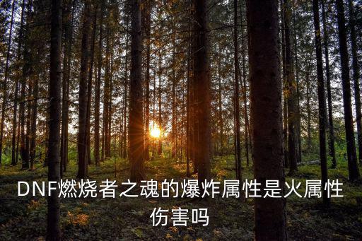 DNF燃烧者之魂的爆炸属性是火属性伤害吗
