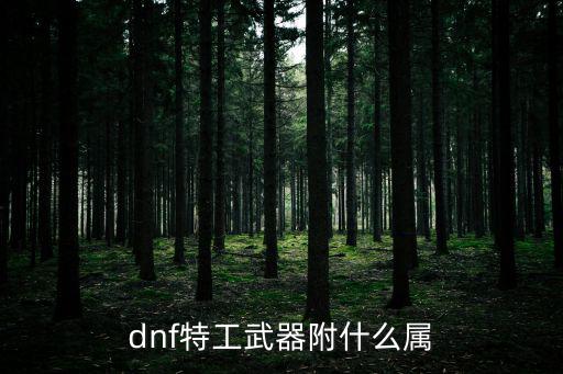 dnf特工武器附什么属