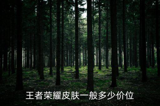 王者荣耀皮肤一般多少价位